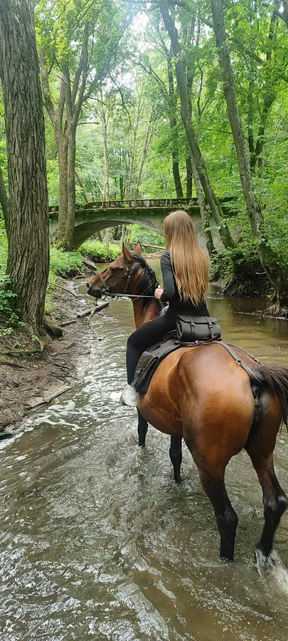 Конный двор «Тракенен»
